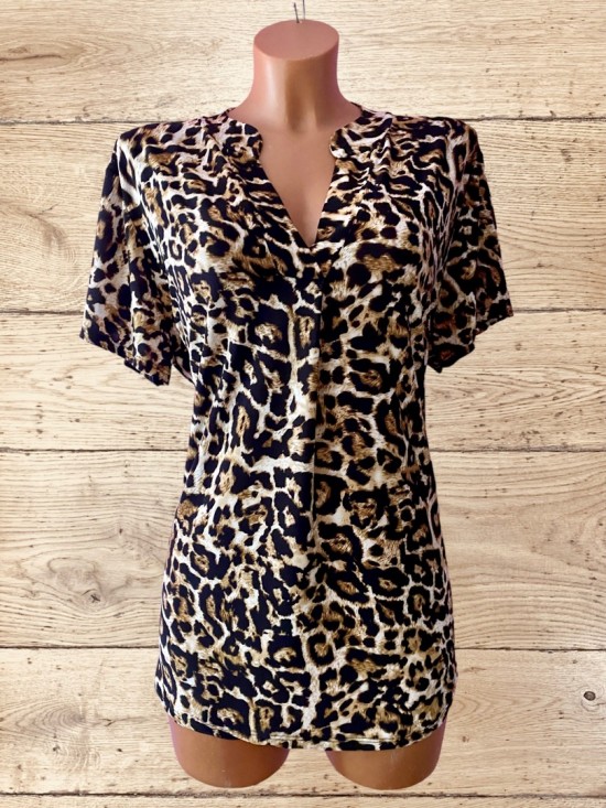 5fcf5913 bf6d 444e 8570 3ba824f7fe31